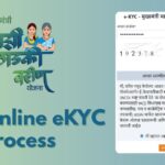 लाडकी बहीण योजना, e-KYC, आदिती तटकरे, मुख्यमंत्री माझी लाडकी बहीण, महाराष्ट्र महिला योजना, e-KYC समस्या, लाडकी बहीण योजना अपडेट, लाडकी बहीण लाभार्थी