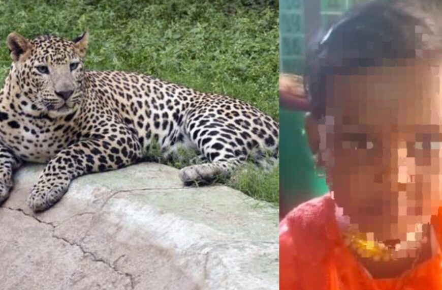 अहिल्यानगरमध्ये बिबट्याचा कहर! चार वर्षांच्या सिद्धेशवर&hellip;