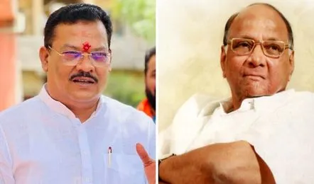 शरद पवार एनडीएमध्ये जाणार का ? संजय शिरसाट&hellip;