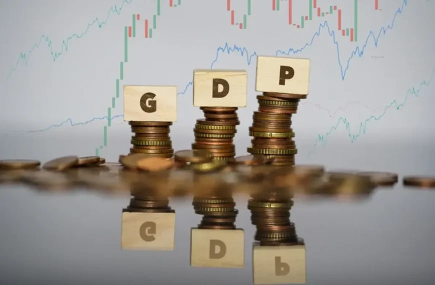 भारताची निर्यात $100 अब्ज डॉलर पार: जीडीपीला मिळणार…