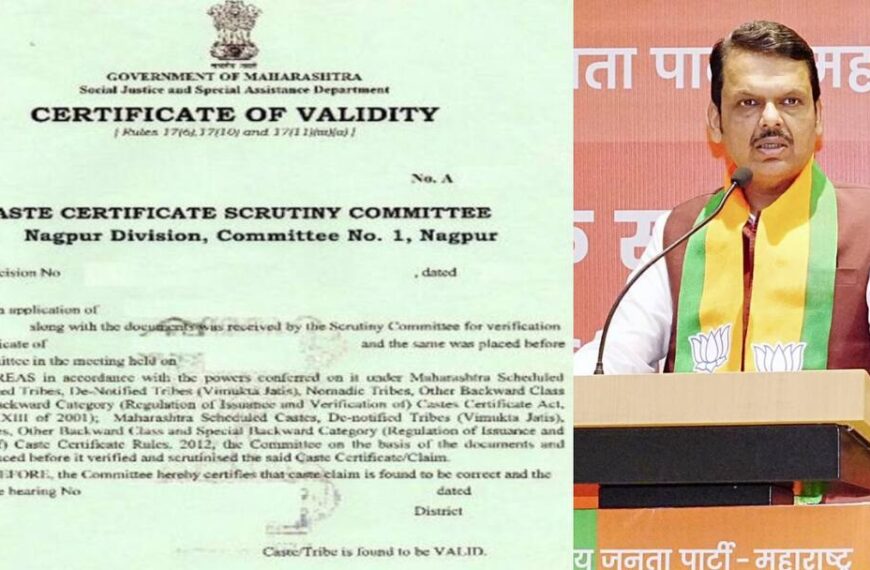 विशेष मागास प्रवर्ग-अ: जात प्रमाणपत्र, वैधता प्रक्रिया थांबली;&hellip;