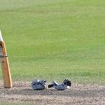 खेळाच्या मैदानावरील भीतीचे सावट: सुरक्षिततेसाठी कठोर उपाययोजनांची मागणी