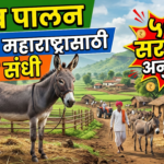 गाढव पालन: ग्रामीण महाराष्ट्रासाठी नवीन संधी आणि 50% सरकारी अनुदान!