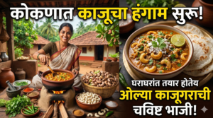 कोकणात काजूचा हंगाम सुरू: घराघरांत तयार होतेय ओल्या&hellip;