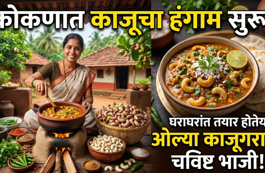 कोकणात काजूचा हंगाम सुरू: घराघरांत तयार होतेय ओल्या&hellip;