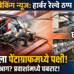 मुंबई लोकलमध्ये ‘पंख’रहित अडथळा! खारघरला पेंटाग्राफमध्ये पक्षी अडकला, हार्बर रेल्वे ठप्प, प्रवाशांमध्ये घबराट